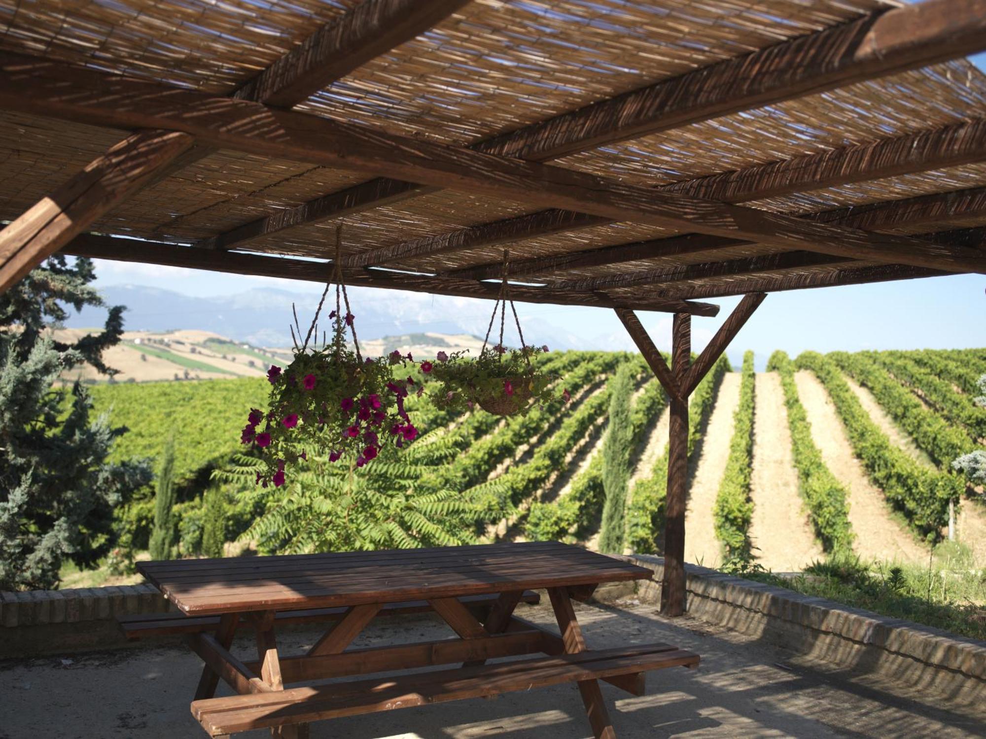 Contado San Lorenzo B&B And Wine Castilenti Exterior photo