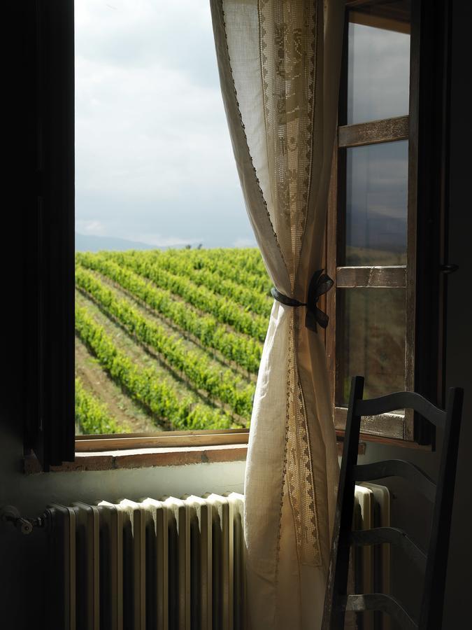 Contado San Lorenzo B&B And Wine Castilenti Exterior photo